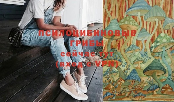 гидра Нея